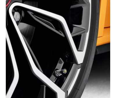 Enjoliveurs 15 pouces NUTA gris clair avec logo Renault pour TWINGO III -  Retail Renault Group